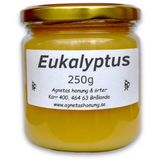 Honung med eukalyptus